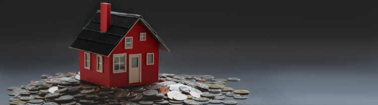 What You Need to Know About Investing in Alternative Housing:...